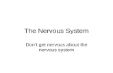 The Nervous System Dont get nervous about the nervous system