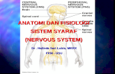 Anatomi Fisiologi - Sistem Syaraf