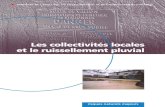Les collectivit©s locales et le ruissellement .Alpes), Jean Chapgier (Grand Lyon), Alain Faure-Soulet