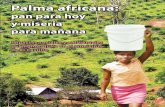 Palma africana:  AMO A MI GENTE pan para hoy Y ?n Palma...  La palma africana en el municipio