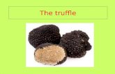 Truffle tobia