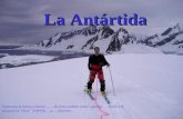 Antartida Maravillosa