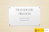 TRATADO DE TRIAN“N - .Versalles. ANTECEDENTES AL TRATADO ... â€¢El Tratado de Trian³n supuso un