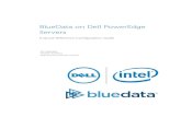 BlueData on Dell PowerEdge Servers - Configuration Guide