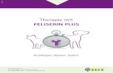 Therapie mit - cdn.website-start.de .Sp¤tfolgen: chronische Sinusitis, Gingivitis, Stomatitis, chronische