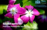 Dew flower nature power point templates themes and backgrounds ppt themes