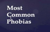 Most Common Phobias
