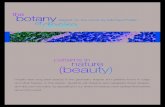 patterns in nature (beauty) - PBS .patterns in nature (beauty) overview 2 When we hear the word beauty,