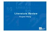 Literature Review -   literature review, if the body of the literature review is not already