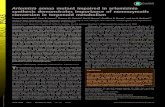 Artemisia annua mutant impaired in artemisinin synthesis 2016-12-23¢  Artemisia annua mutant impaired