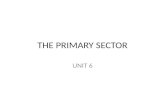 Topic 6 Primary Sector