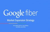 Google Fiber Case Competition