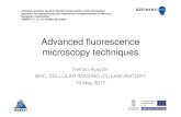 Advanced fluorescence microscopy Advanced fluorescence microscopy techniques Ferhan Ayaydin BRC, CELLULAR
