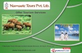 Namaste Tours Private Limited, Kerala Division Haryana India