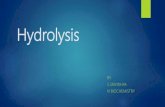 drug metabolism-hydrolysis