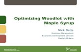 Farm Smart: optimizing woodlot through various maple syrup models
