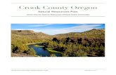 Crook County Oregon - CCNR- .Crook County Oregon ... Creek, although mining is scattered throughout Crook County. Although not intended to be all inclusive by deï¬nition,