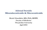 Adrenal Steroids Mineralocorticoids & Gl ? ‚ Adrenal Steroids Mineralocorticoids & Glucocorticoids Munir Gharaibeh, MD, PhD, MHPE Faculty of Medicine The Jordan University April