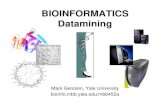 BIOINFORMATICS Datamining - Gerstein   (c) Mark Gerstein, 1999, Yale, bioinfo. mbb. yale. edu BIOINFORMATICS Datamining Mark Gerstein, Yale University