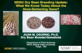 NDSU Dry Bean Breeding Update: What We Know Today   JUAN.pdf . Carioca â€¢ 1980â€™s: Bean scientists (S. Singh) at CIAT-Colombia noticed some germplasm