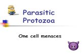 Parasitic Protozoa -  . Chronic general ... (spleen, liver, bone marrow, lymph nodes, skin)  humans ... modified Giemsa stain). Figure 7: Interpretation of cytology