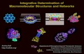 Integrative Determination of Macromolecular Structures and ...c.ymcdn.com/sites/ ??Integrative Determination of Macromolecular Structures and Networks ... Integrative Determination