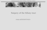 Surgery of the biliary tract - Semmelweis   of the biliary tract ... â€¢choledocholithiasis â€¢cholangitis â€¢pancreatitis ... â€¢ obstructive jaundice