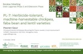 PL-7: Herbicide -tolerant, machine-harvestable chickpea ...  chickpea, fababean and lentil varieties ... cotton, maize) are under ... A mutation breeding program for herbicide