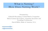 What is Netting? How Does Netting Work? Netting Payment Netting reduces settlement risk, but does achieve netting for balance sheet or regulatory capital purposes because the transactions