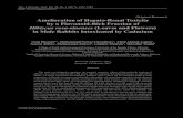 Original Research Amelioration of hepato-renal toxicity of.pdf  Amelioration of hepato-renal toxicity