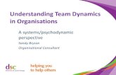 Understanding Team Dynamics in Organisations -   Team Dynamics in Organisations A systems/psychodynamic perspective Sandy Bryson . Organisational Consultant