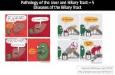 Pathology of the Liver and Biliary Tract 5 Diseases of the ... of the Liver and Biliary Tract â€“ 5 Diseases of the Biliary Tract ... â€¢Lantana camara toxicosis ... (next