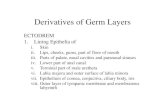 Derivatives of Germ Layers - Government Medical College lectures/Anatomy/General...2014-07-05Derivatives of Germ Layers ECTODREM 1. Lining Epithelia of i. Skin ... tympanic tube, middle