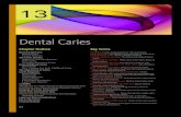Dental Caries -   Dental Caries 13 Chapter Outline Bacterial Infection Dental Plaque Enamel Structure The Caries Process Stages of Caries Development Root Caries Secondary