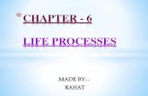 CHAPTER - 6 LIFE PROCESSES - Amazon S3 - 6...Life processes are the basic processes in living organisms which are necessary for maintaining their life. The basic life processes are