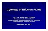 Cytology of Effusions - of cytology of effusions. Anatomy ... Malignant ascites â€“ Men: GI, Pancreas, ... Motherby H et al. Diagnostic accuracy of effusion cytology. Diagnostic