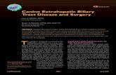 Canine Extrahepatic Biliary Tract Disease and S  Extrahepatic Biliary Tract Disease and Surgery ... 1