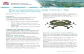 Recreational Crab Fishing in the Sydney South Recreational Estuary Crab Fishing in the Sydney South District. Fisheries Compliance Unit flattened for swimming. Mud Crabs are generally