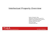Intellectual Property Overview - NJIT SOS joelsd/capstone/Intellectual Property...â€“ foreign published patent documents ... â€“ Absolute novelty (Foreign filing must take