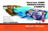 Aussie GMP INDUSTRIAL  ??June 2013 AUSTRALIAN PUMP INDUSTRIES (02) 8865 3500    Page 1 Aussie GMP INDUSTRIAL PUMPS ast Iron electric