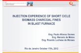 INJECTION EXPERIENCE OF SHORT CICLE BIOMASS CHARCOAL FINES ... EXPERIENCE...injection experience of short cicle biomass charcoal fines ... (miscanthus) experimental ... financial cost