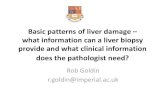 Basic patterns of liver damage what information can a ... liver disease ... Biliary tract disease: Orcein stain. Biliary tract disease: CK7. Causes of Disappearing Bile Ducts ... Slide