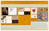 Microscopy poster FINAL copy - Conservation OnLine - Significance of Surface in Central African Masks: Pigment Identification of Polychrome Wood Masks from the Congo ... cultural heritage