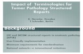 Impact of Terminologies for Tumor Pathology Structured   of Terminologies for Tumor Pathology Structured Reports G. Haroske, ... structure terminology ... data Terminologies!