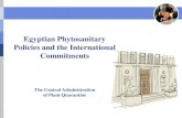 Egyptian Phytosanitary Policies and the International ... Phytosanitary Policies and the International ... Egypt PQ phytosanitary measures represent the least ... 11 Guidelines for