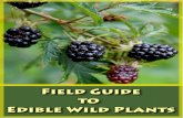 Field Guide to Edible Wild Plants - AMERICA IS MY   Guide to Edible Wild Plants 2 ... Poisonous Plants ... America, and Australia. It has a long, bright red stalk that
