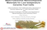 Multi-Functional Nanocomposite Materials for Low ... Nanocomposite Materials for Low-temperature ... Prof. Suddhasatwa Basu, Department of Chemical Engineering, ... thermal analysis,
