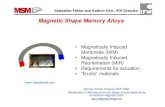 Magnetic Shape Memory Alloys -   -   Fhler and Kathrin Drr, IFW Dresden Magnetic Shape Memory Alloys â€¢ Magnetically Induced Martensite (MIM) â€¢ Magnetically Induced