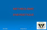 METABOLISME ENERGETIQUE - .METABOLISME ENERGETIQUE. 03/01/2009 Philippe Bouvet 2 Processus de la