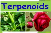 Introduction to Natural Products - ¬§…¹© †²ˆ‰ to Natural Products . ... E -Vetivone Eremophilone ... Since the discovery and synthesis of testosterone